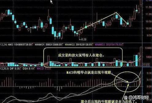 A股市场盈利一种人：多年来只做两种股票点醒股市还亏损的散户